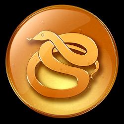 Chinese Horoscope Year of the Snake